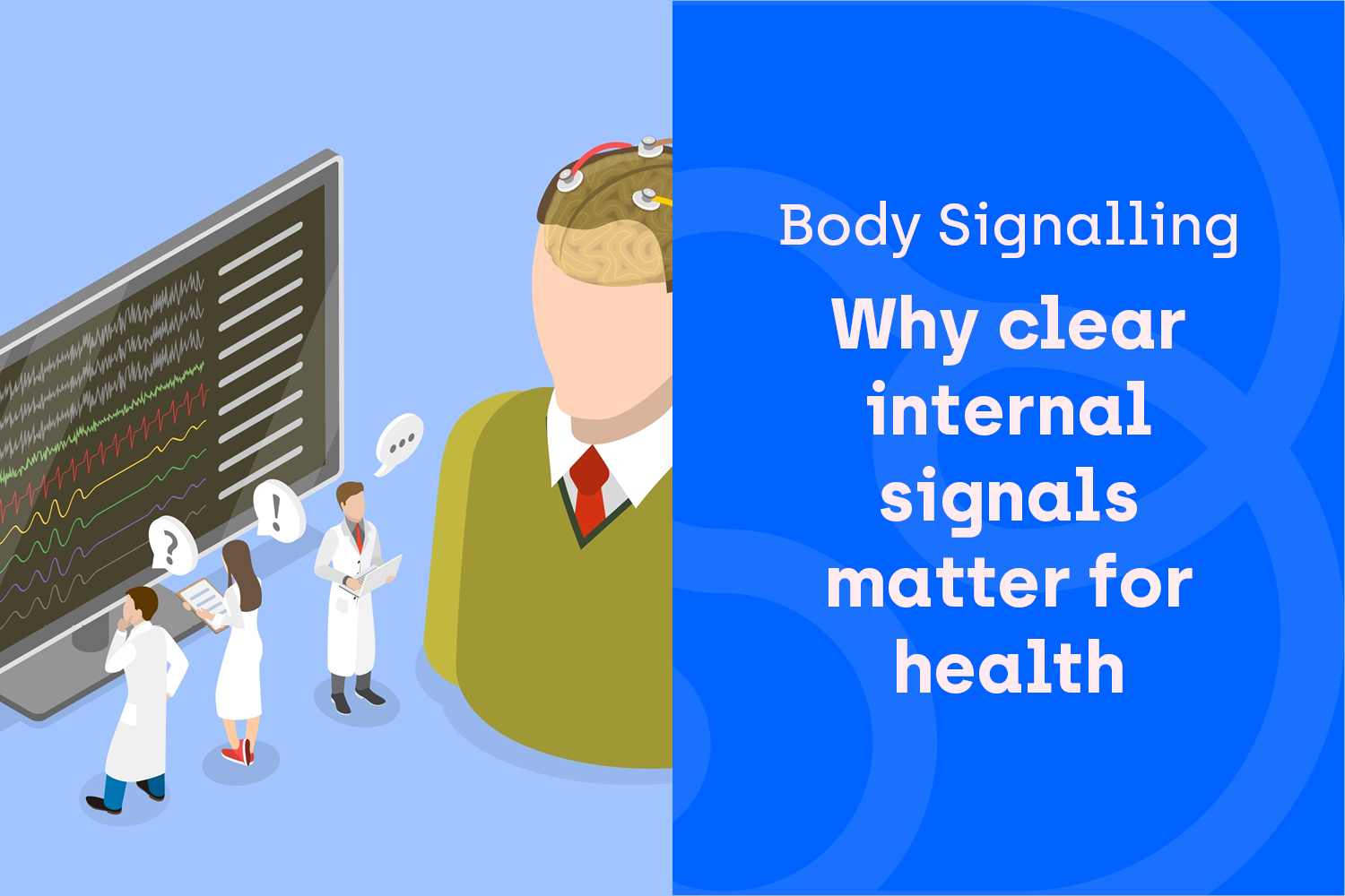 The Body’s Information Highway: Why Clear Signalling Matters More Than Perfect Posture
