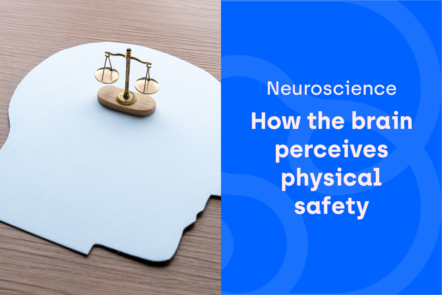 Our Physical Blueprint: How the Brain Interprets Effort, Ease, and Safety