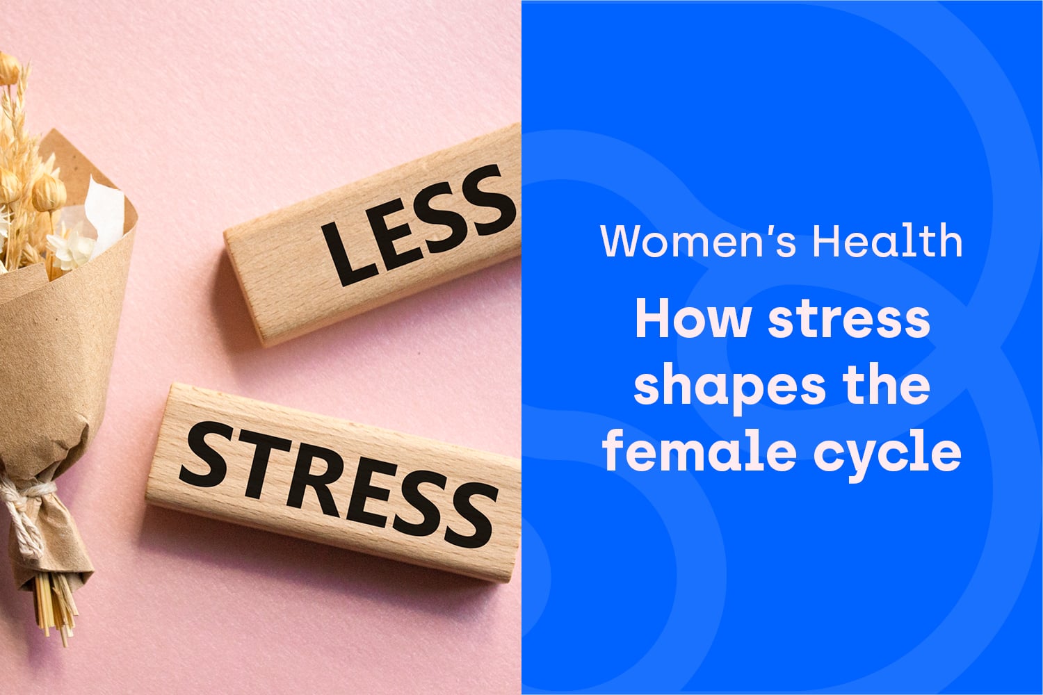 The Female Body: How Internal Signals and Stress Shape Our Cyclical Experience