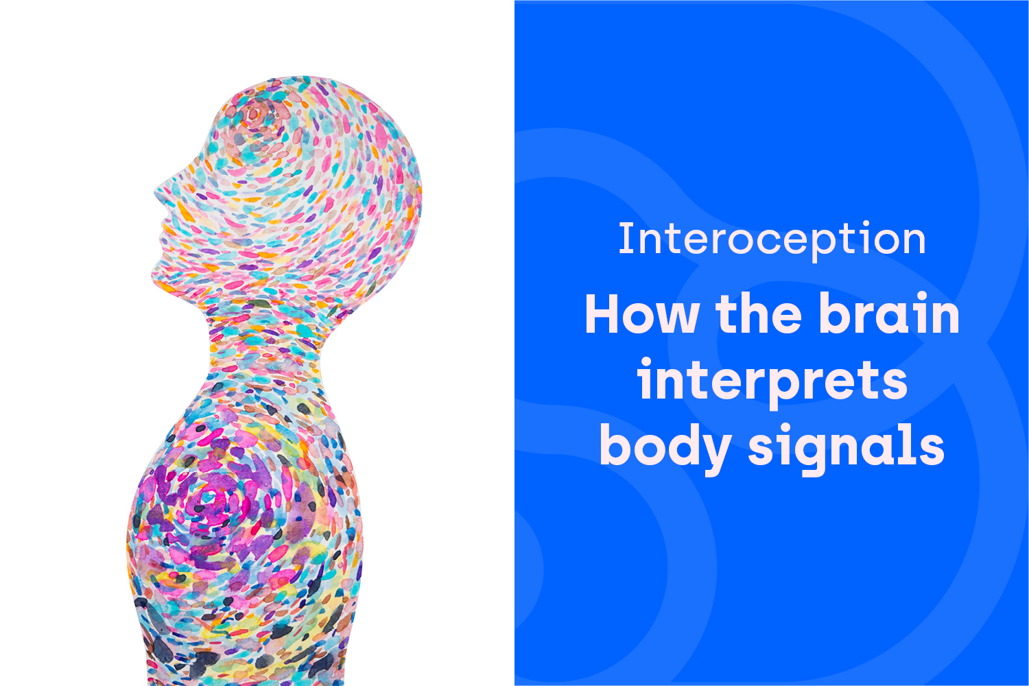 Tuning Out the Static: How the Brain Interprets the Body’s Signals